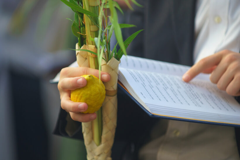 Суккот и символика четырех растений