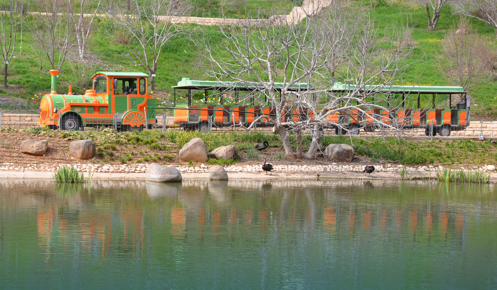 Ботанический сад – зеленый мир в Иерусалиме