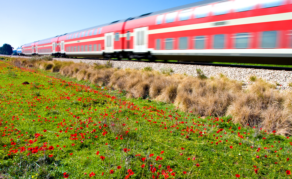В Старый город поедем поездом