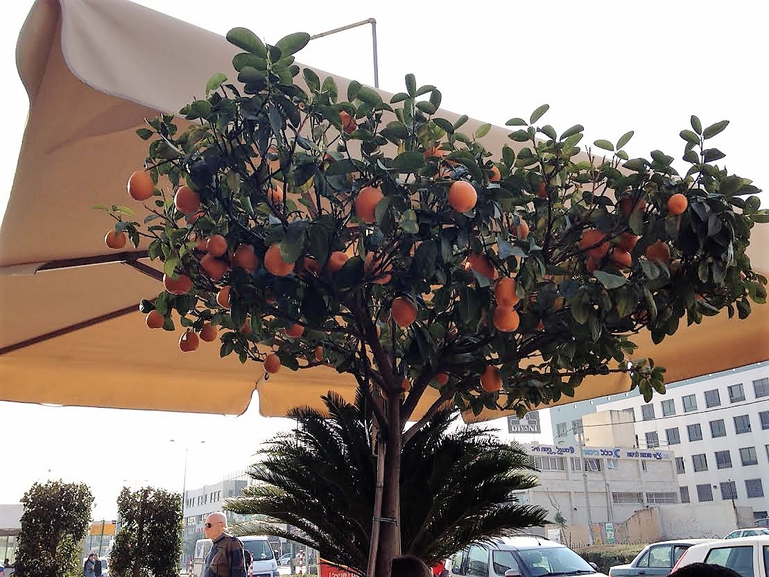 С Новым годом!