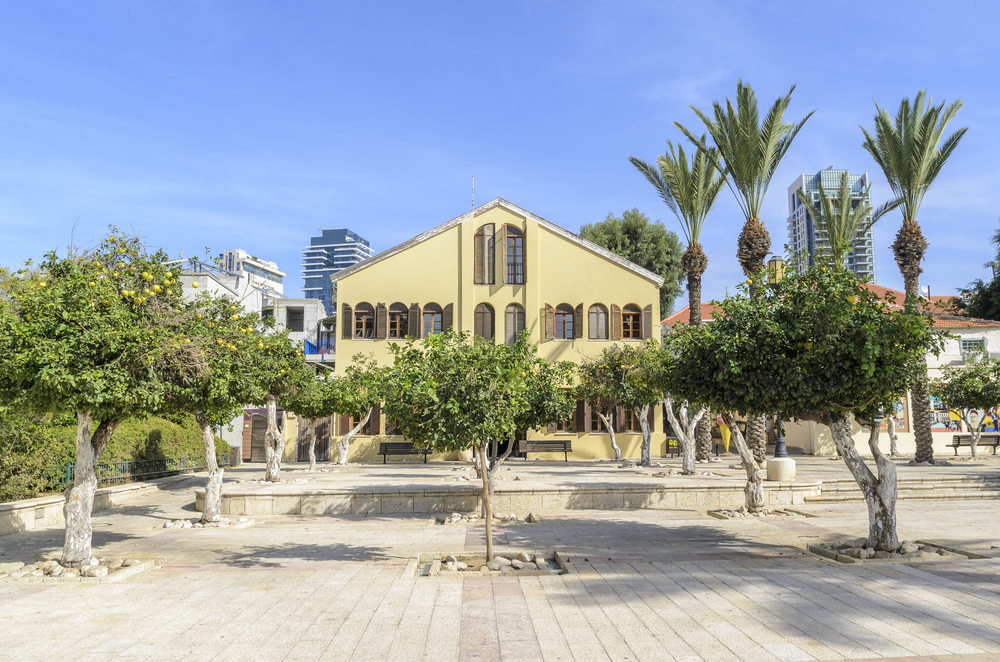 Центр сценических искусств имени Сюзан Далаль