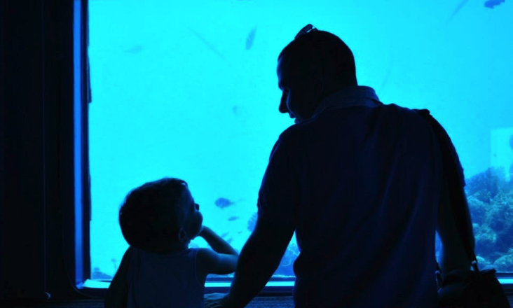 Океанариум в Иерусалиме и Музей природы в Тель-Авиве