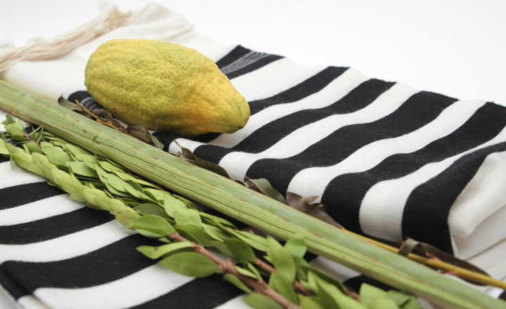 Растения – символы Cуккота