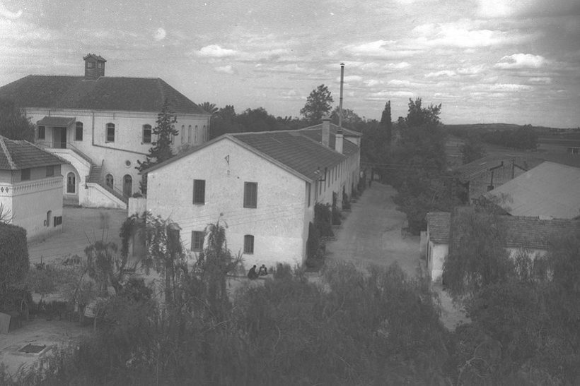 История сионизма и государства Израиль: 8 – 15 июня