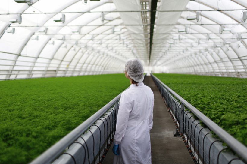 Инвестиции в сельское хозяйство Израиля