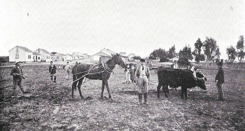 О чем писала еврейская пресса 125 лет назад: газета «Ха-Цви» («Олень»/»Лань»)